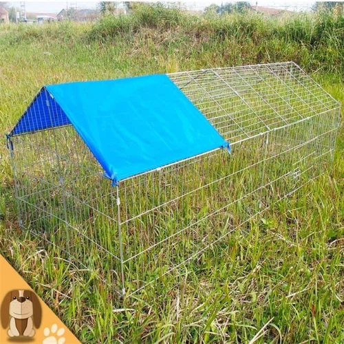 Halpa Kana Coop Pollitos