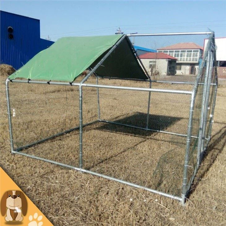Well-ventilated Best-selling Chicken Coop