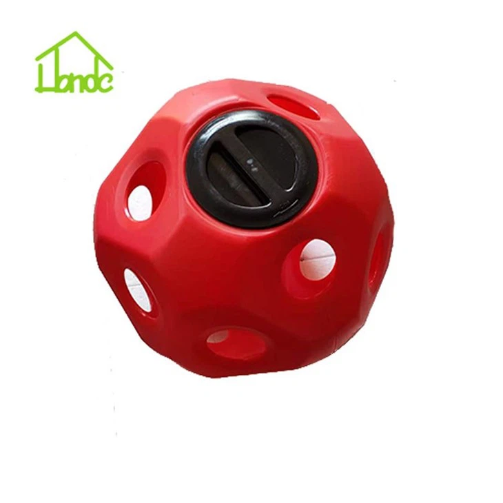 A Toy Ball To Encourage Horses To Forage Naturally