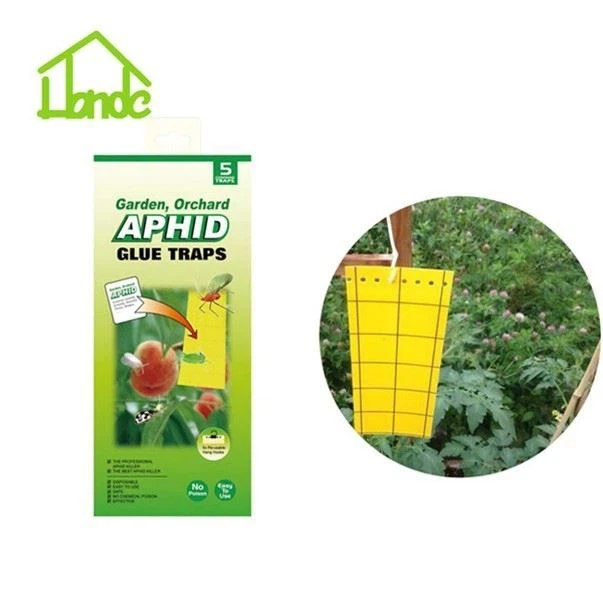 Blattlaus-Klebefalle, Gelbe Insekten-Klebefallen
