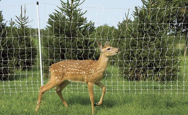 Electric Netting For Deer Electric Netting For Deer